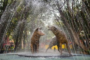 Frida Kahlo Museum Entry Ticket (except Casa Kahlo option)