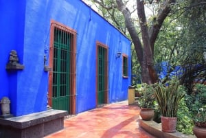 Frida Kahlo Museum: Entry Ticket