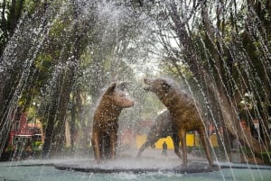 Frida Kahlo Museum Entry Ticket
