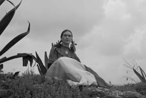 Frida Kahlo Museum Tour: A Journey Through Art and Legacy