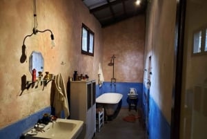 Frida Kahlo Museum Tour: A Journey Through Art and Legacy