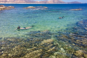 From Cabo: Cabo Pulmo Marine Park Snorkeling and Kayaking