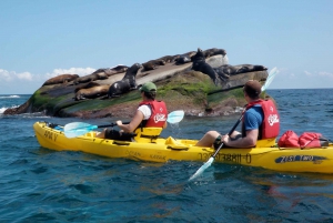 From Cabo: Cabo Pulmo Marine Park Snorkeling and Kayaking