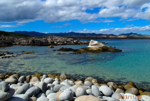 From Cabo: Cabo Pulmo Marine Park Snorkeling and Kayaking