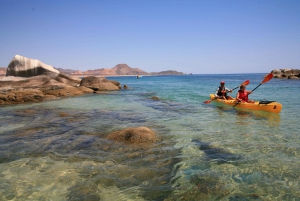From Cabo: Cabo Pulmo Marine Park Snorkeling and Kayaking