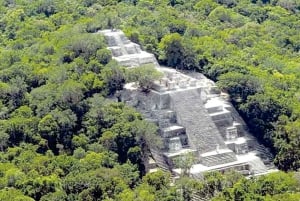 From Campeche: Calakmul Guided Nature and History Day Trip