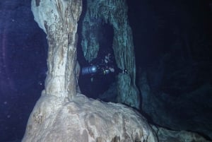 Desde Cancún: 2 Inmersiones en el Cenote Dos Ojos para Buceadores Certificados