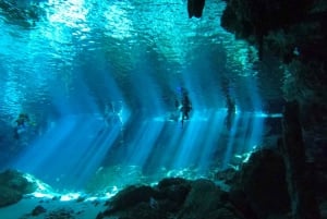 Desde Cancún: 2 Inmersiones en el Cenote Dos Ojos para Buceadores Certificados