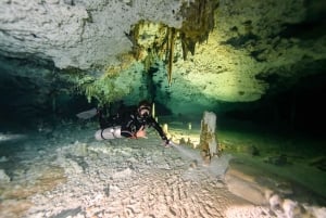 Desde Cancún: 2 Inmersiones en el Cenote Dos Ojos para Buceadores Certificados