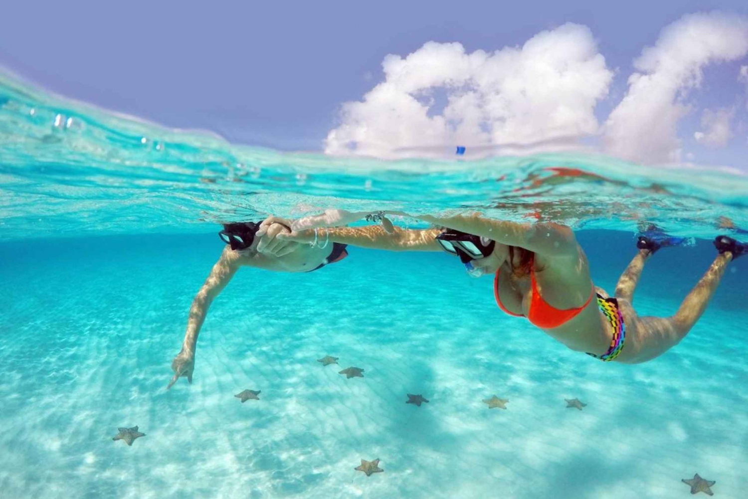 From Cancun and Riviera Maya: Cozumel Snorkeling Tour