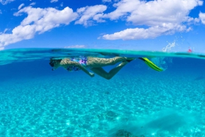 Desde Cancún y Riviera Maya Excursión de snorkel a Cozumel