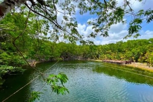 From Cancun: Cenote Adventure and Puerto Morelos