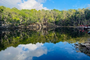 From Cancun: Cenote Adventure and Puerto Morelos