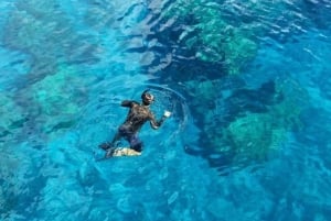 From Cancun: Cenote Snorkeling