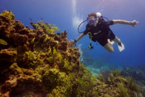 Desde Cancún: Experiencia de Buceo en el Cenote Chikin Ha