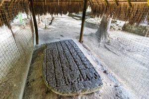 From Cancún: Cobá, Cenote, Tulum and Playa del Carmen Tour