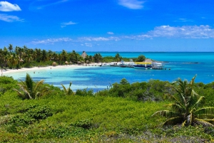Desde Cancún: Excursión de un día a Contoy e Isla Mujeres