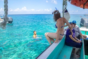Desde Cancún: Excursión de snorkel a Cozumel