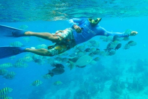 From Cancún: Cozumel Snorkeling Tour