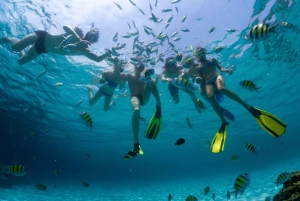 From Cancún: Cozumel Snorkeling Tour