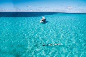 Desde Cancún: Excursión de snorkel a Cozumel