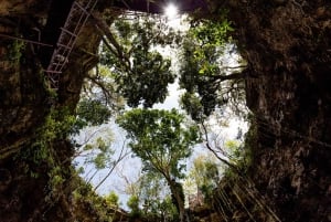 Desde Cancún: Excursión a Ek Balam y Cenote con Comida y Traslado