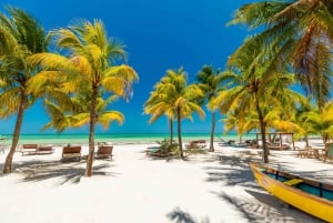 Desde Cancún: Excursión en Barco a Holbox con Traslado