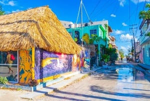 Desde Cancún: Excursión en Barco a Holbox con Traslado