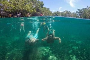 Desde Cancún: Excursión en Barco a Holbox con Traslado