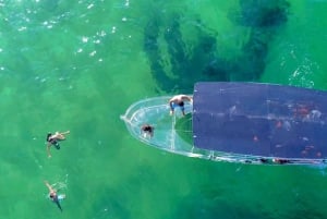 From Cancun: Glass Boat Sightseeing Trip