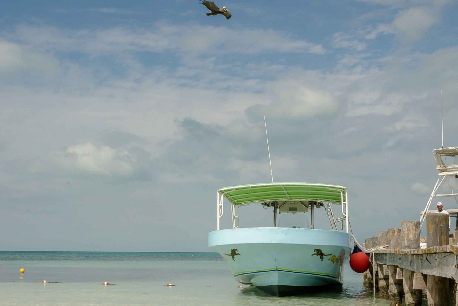 From Cancun Isla Contoy Isla Mujeres Tour in Mexico