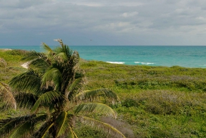 From Cancun: Isla Contoy & Isla Mujeres Tour