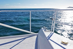 From Cancun: Isla Mujeres Catamaran Day Trip with Lunch