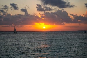 Desde Cancún: crucero en catamarán al atardecer por Isla Mujeres