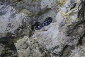 Desde Cancún: Aventura en la Caverna de la Serpiente de Kantemó