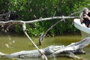 Desde Cancún: Aventura en la Caverna de la Serpiente de Kantemó