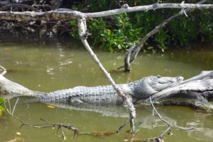 Desde Cancún: Aventura en la Caverna de la Serpiente de Kantemó