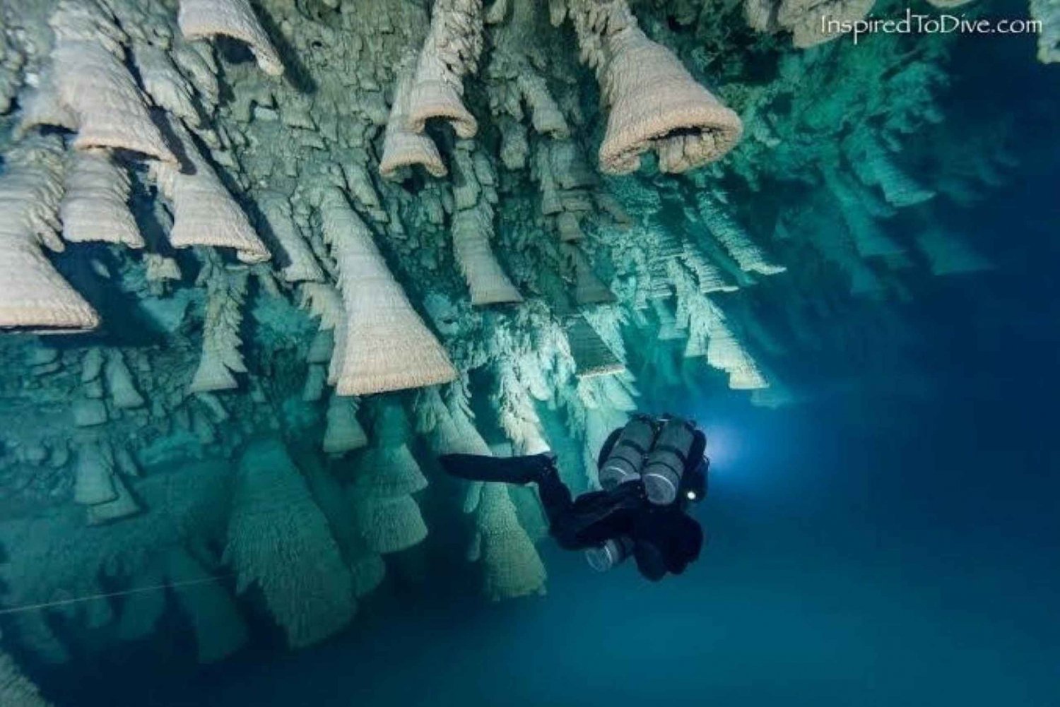 Desde Cancún: Experiencia de Buceo en los Cenotes Kin Ha y Hell's Bells