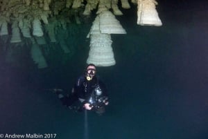 Desde Cancún: Experiencia de Buceo en los Cenotes Kin Ha y Hell's Bells