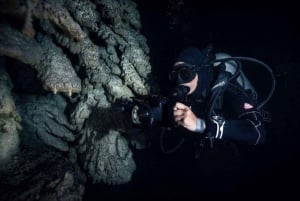 Desde Cancún: Experiencia de Buceo en los Cenotes Kin Ha y Hell's Bells