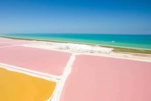 From Cancun: Las Coloradas and Rio Lagartos All Inclusive Tour