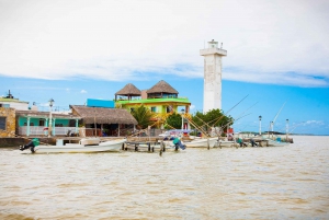 Desde Cancún: Excursión de un día a Las Coloradas y Río Lagartos