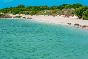 Desde Cancún: Excursión de un día a Las Coloradas y Río Lagartos