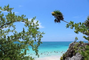From Cancun or Playa del Carmen: Tulum Discovery Tour