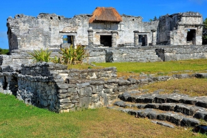 Desde Cancún: Excursión de un día a Tulum, Cenote y Playa del Carmen