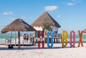 From Cancun or Puerto Morelos: Holbox Boat Tour with Lunch
