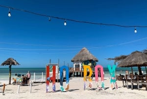 From Cancun or Puerto Morelos: Holbox Boat Tour with Lunch