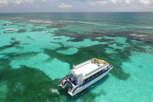 From Cancun or Riviera Maya: Isla Contoy & Mujeres Day Trip