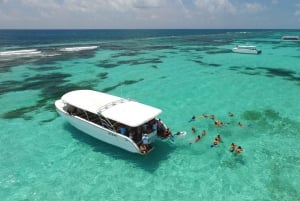 From Cancun or Riviera Maya: Isla Contoy & Mujeres Day Trip