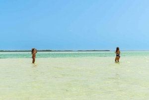 From Cancún/Playa del Carmen: Holbox Island Tour